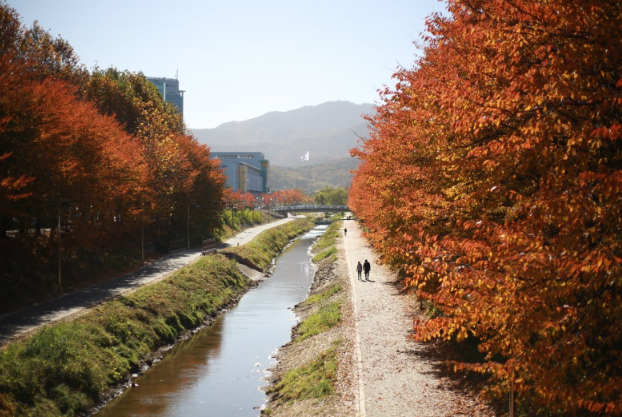 양재천