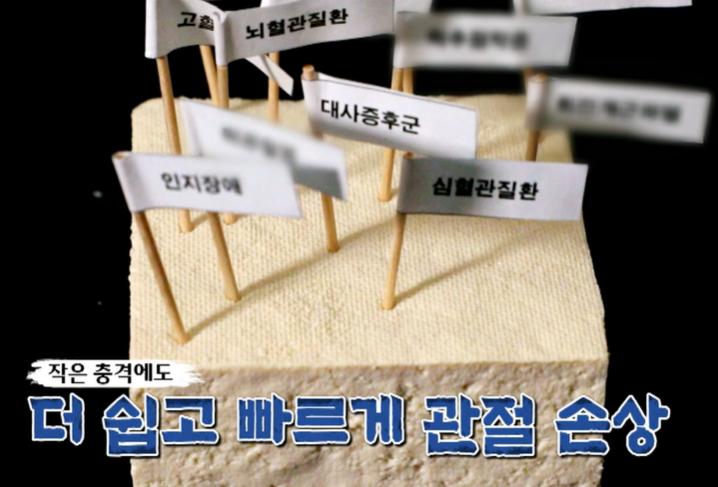콘드로이친