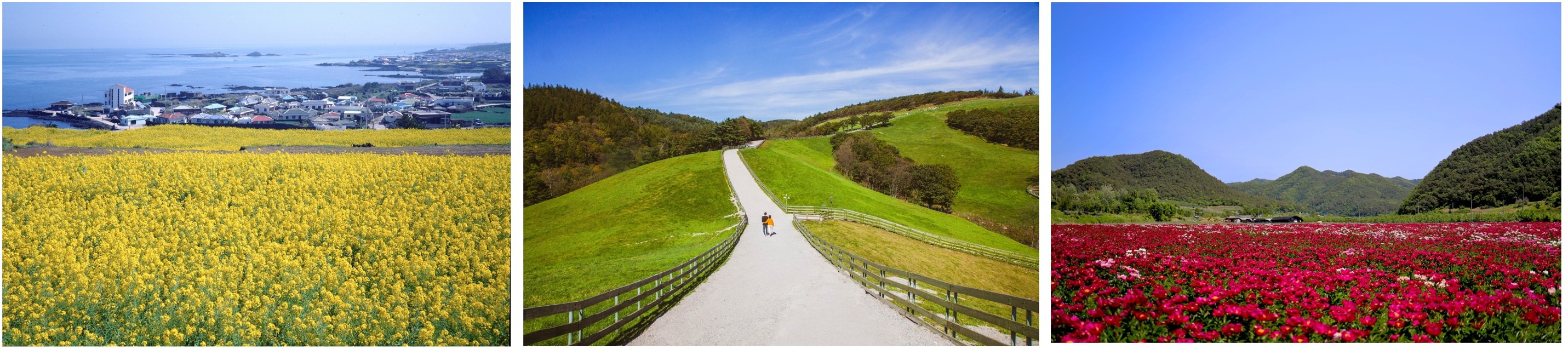 미세먼지 걱정없는 3개 지역