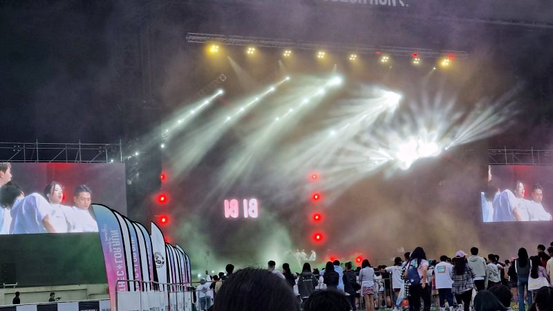 비비