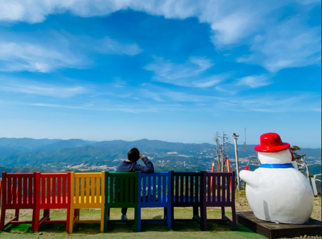 강원도 평창 발왕산과 천년주목숲길 정보