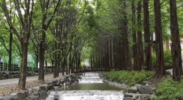 칠갑산자연휴양림 2