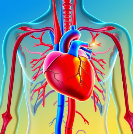nmn영양제-효능-제품-추천