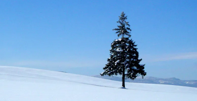 일본여행 삿포로