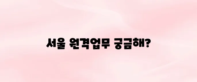 서울시교육청 원격업무포털 (http://evpn.sen.go.kr/)