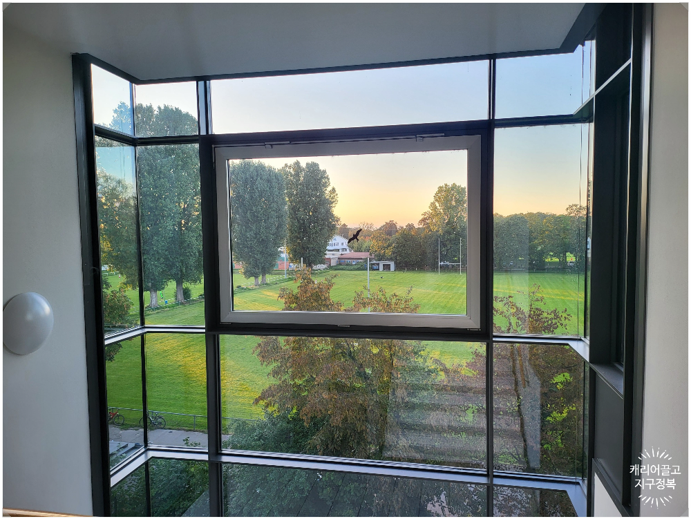 벌레가 없어 필요없는 독일 모기장