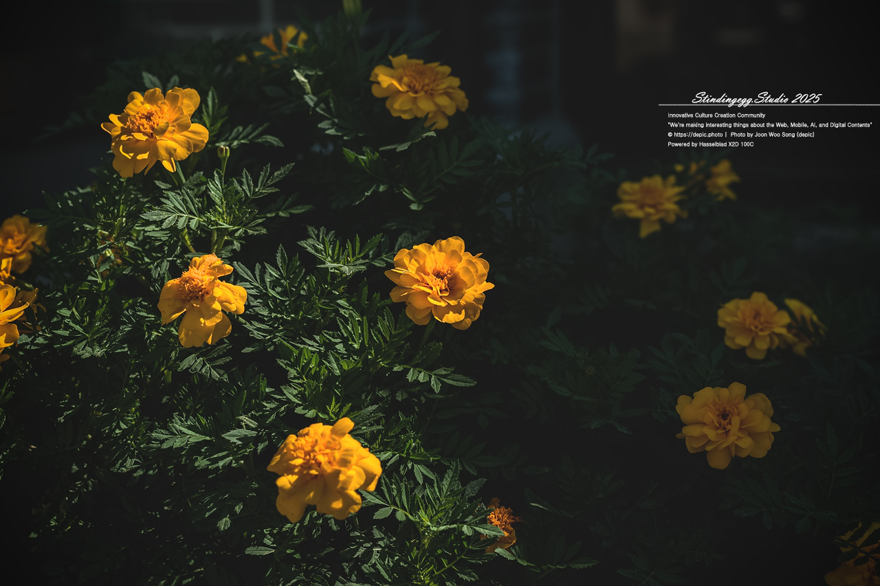 #청주 #오창 #구룡성당 #가톨릭