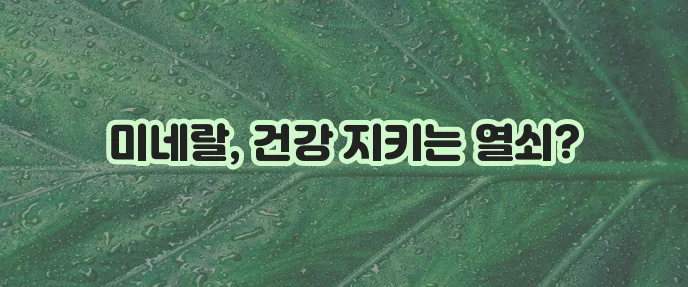 요오드 영양제 건강을 위한 작은 습관 꼭 챙기세요