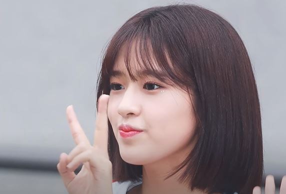 안유진 댕댕미
