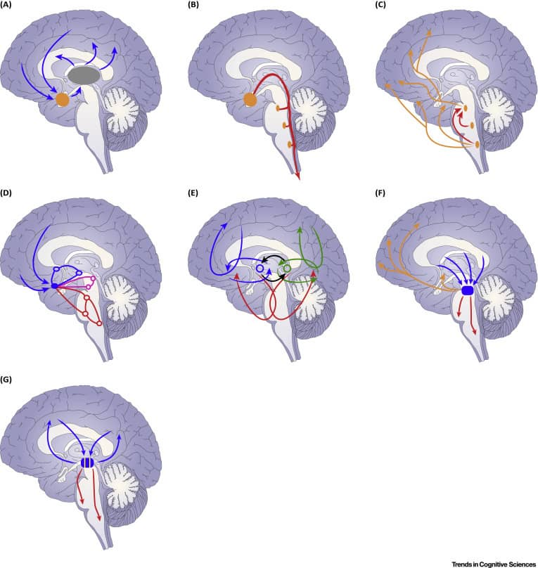 양자 중첩과 인간의 선택: 마음이 여러 가능성을 동시에 생각하는 이유