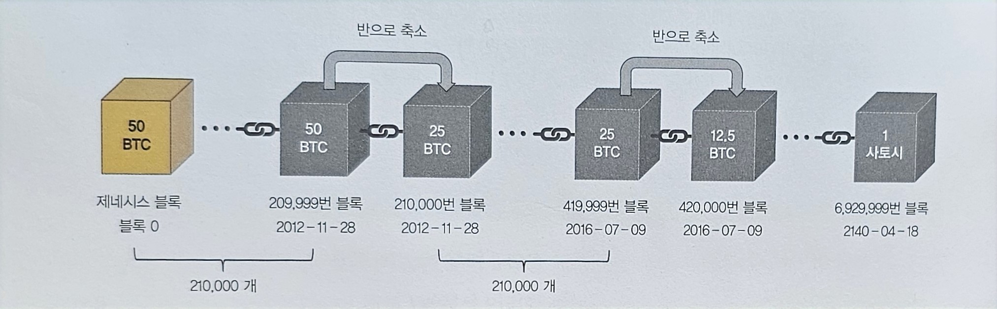 비트코인-블록별-보상금-변화