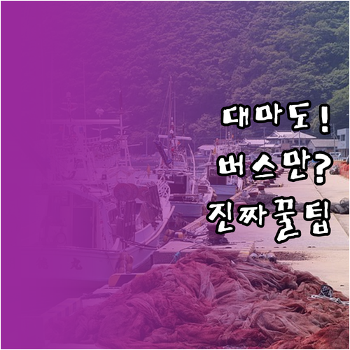 대마도 버스 프리패스로 렌터카 없이 ..