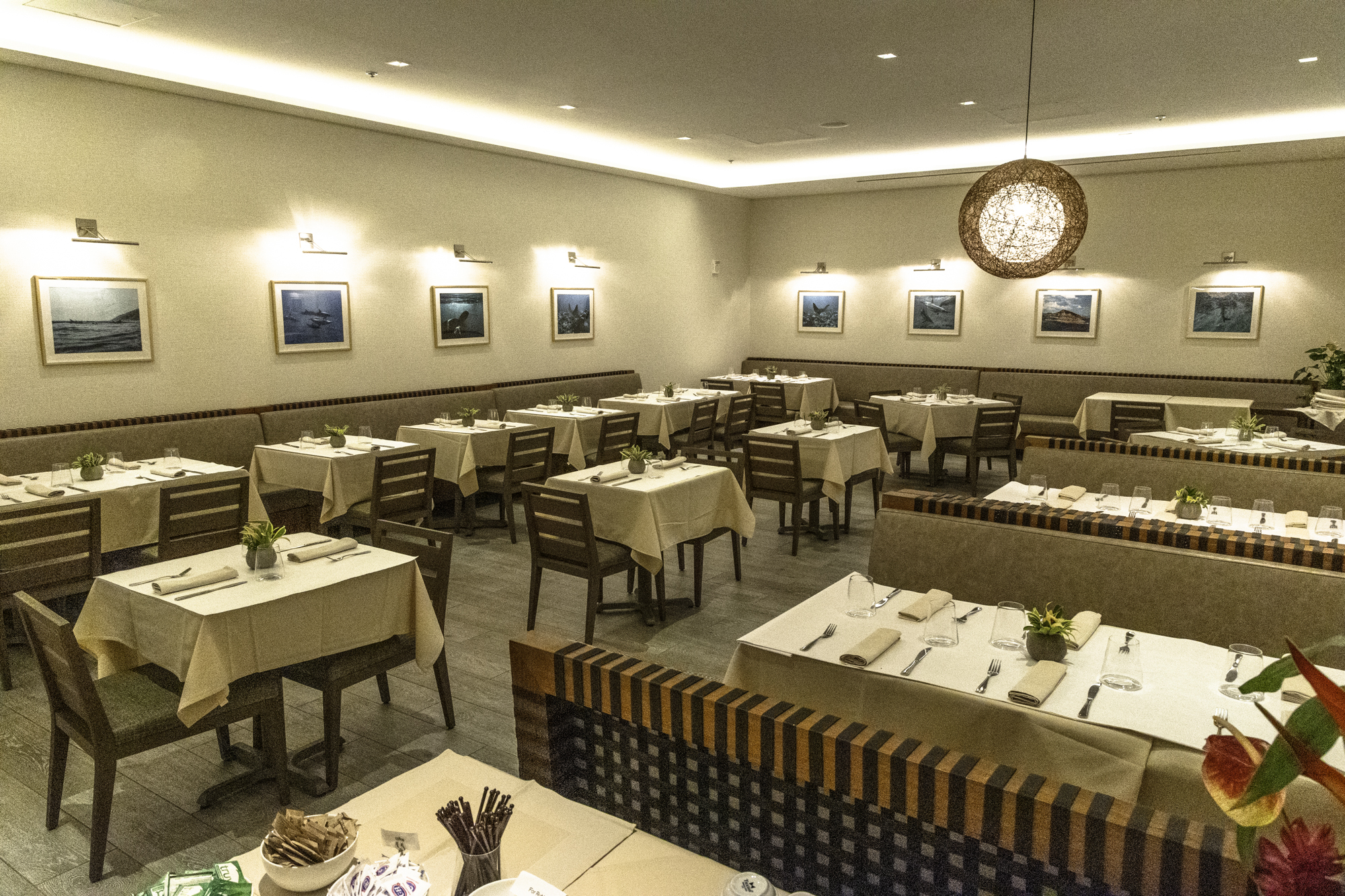 알로힐라니 리조트