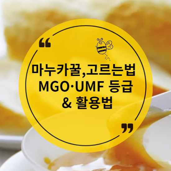 마누카꿀 고르는 법! MGO&middot;UMF 등급 완벽 분석 &amp; 활용법