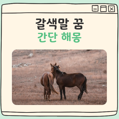 갈색말 꿈 해몽 대표 이미지