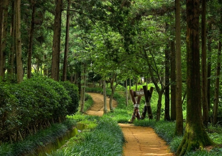 장흥 가볼만한곳 베스트 10