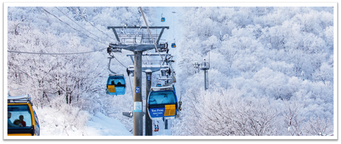 발왕산 케이블카4