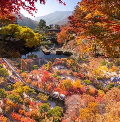 '화담숲'-모노레일