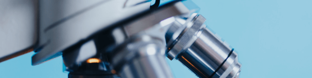 보로노이 주가 배당금 지급일