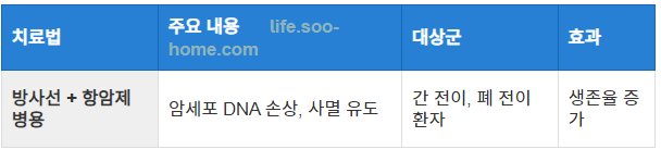방사선 치료와 항암제 병용 효과 연구
