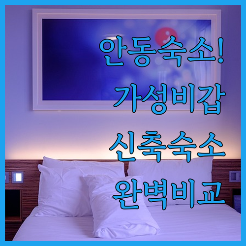 안동 가성비 호텔부터 신축 숙소까지 ..