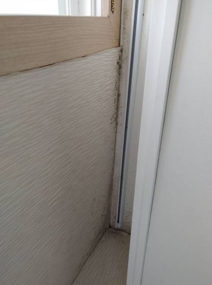 곰팡이 제거 전 모습