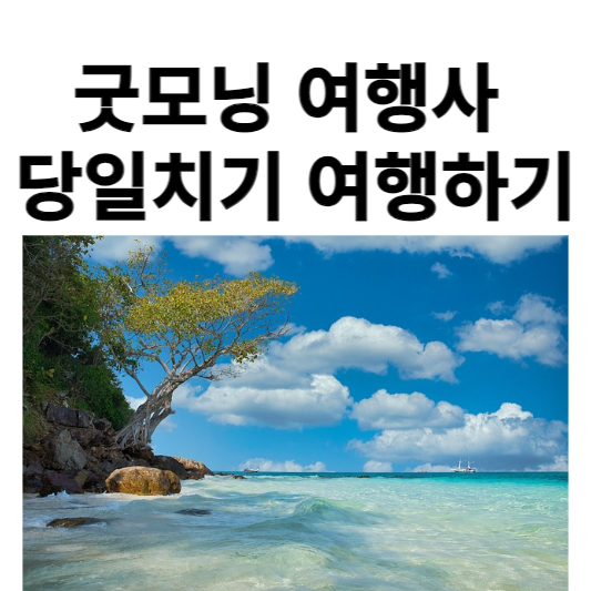 굿모닝여행사특성이미지