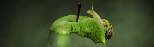 한강 메디치 외국문학상