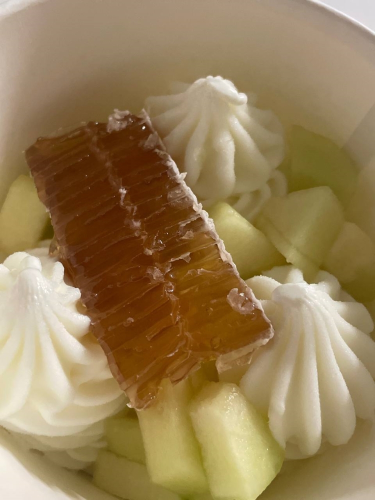 메론 버전