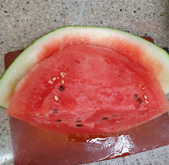 수박사진