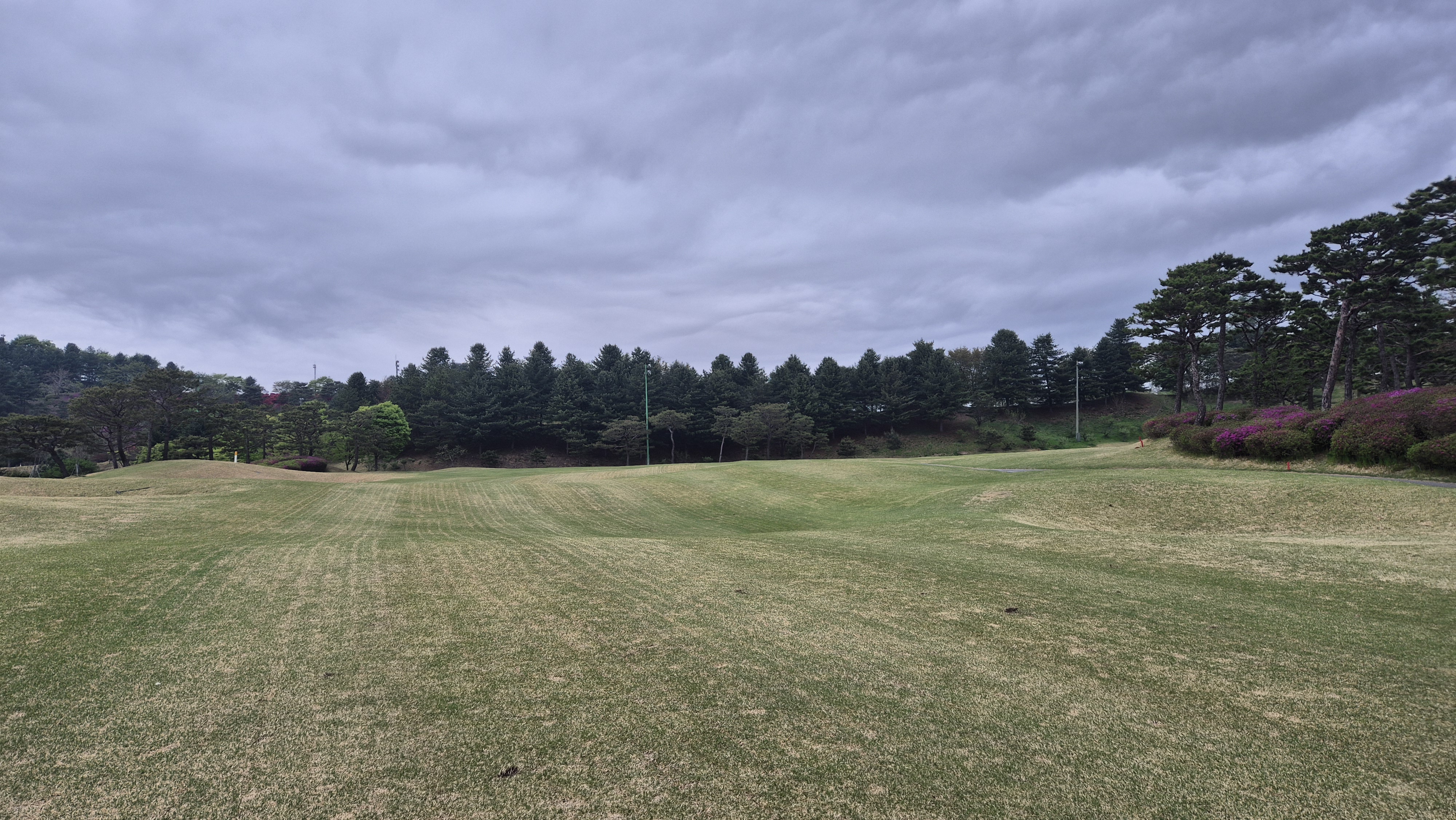 시그너스cc 코튼-라미 코스 사진 및 공략 정보