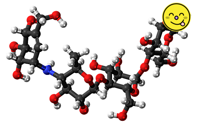 당뇨 초기 증상