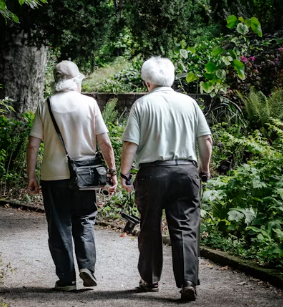 단백질 많은 음식 식물성 동물성