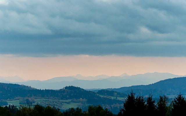 지역사회 기반 건강 증진 프로그램의 효과: 지역사회 참여를 통한 건강 증진 사례