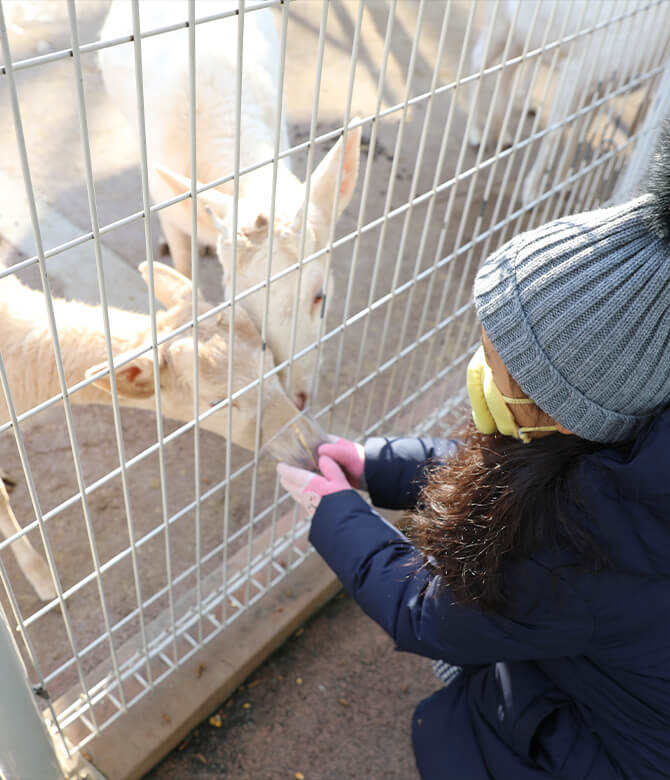 벚꽃, 철쭉, 반달곰까지 2025 베어트리파크 봄꽃축제 완전 정복
