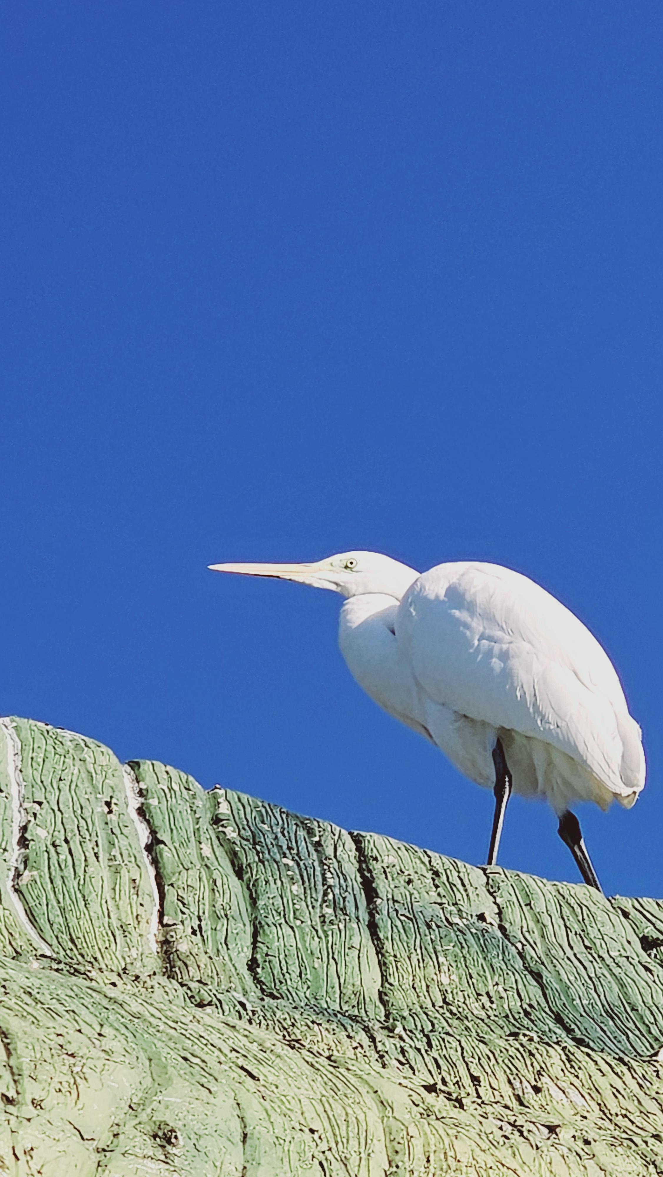 고성당항포랜드