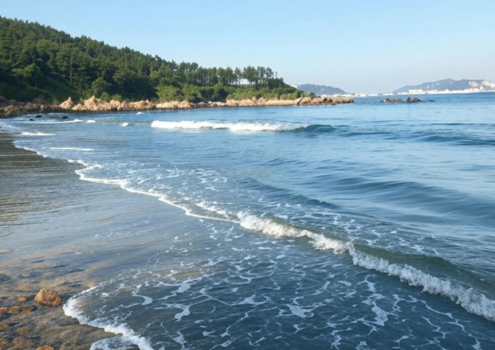 서해안 섬에서 맨발 걷기 하기 좋은 곳 Top 3