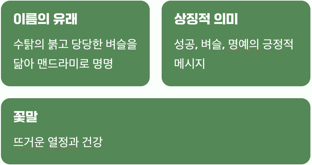 수탉의 벼슬을 닮은 열정