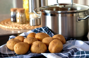 돼지감자 파종 시기와 키우는 방법 완벽 정리! 1