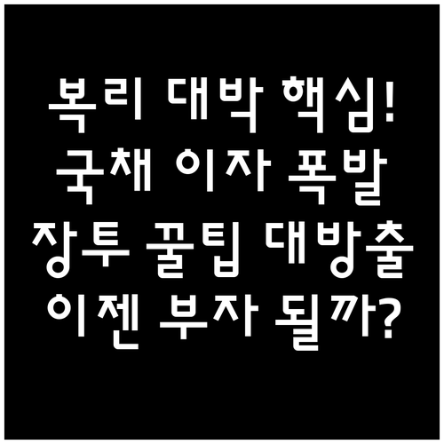 장기 복리 효과 극대화 개인투자용 국..