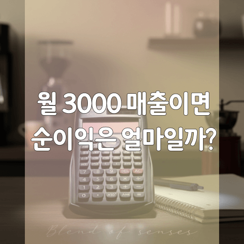 월매출 3000만원 순이익 계산하기