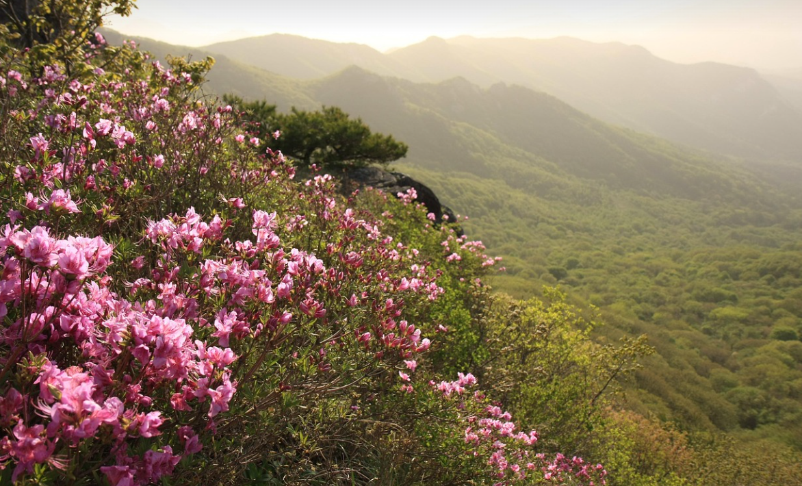 영화보다 더 영화 같은 시골 이야기