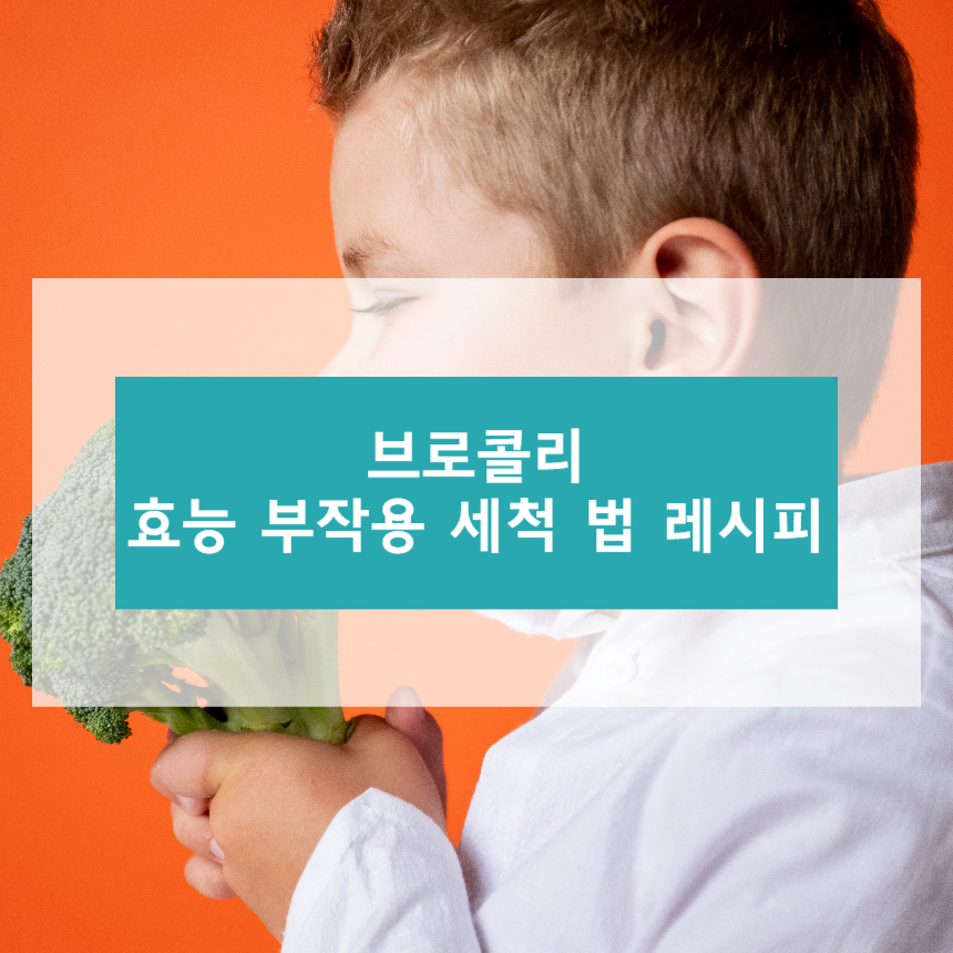 브로콜리 효능 부작용 세척 법 레시피