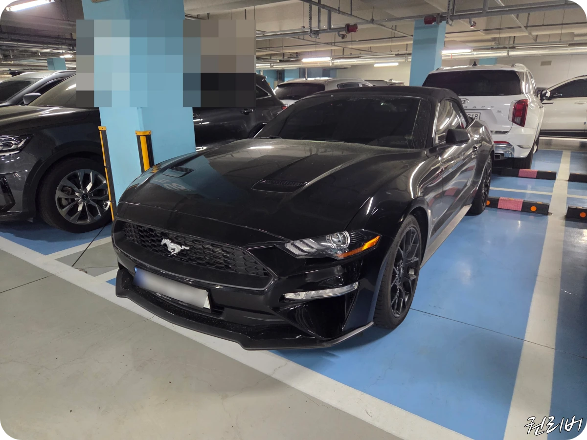 머스탱-에코부스트-데일리카-승차감-리뷰