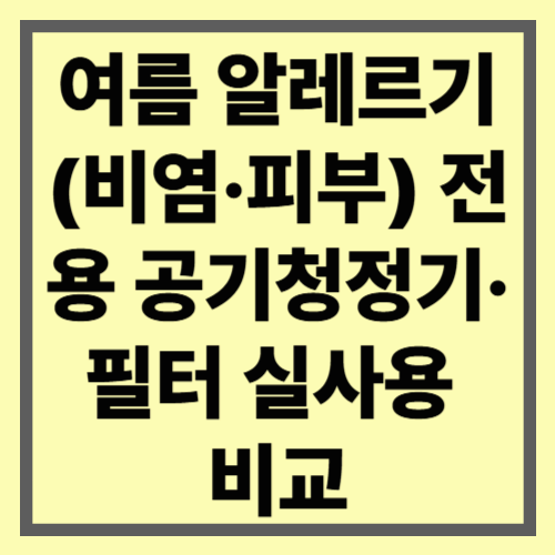 여름 알레르기(비염·피부) 전용 공기청정기·필터 실사용 비교