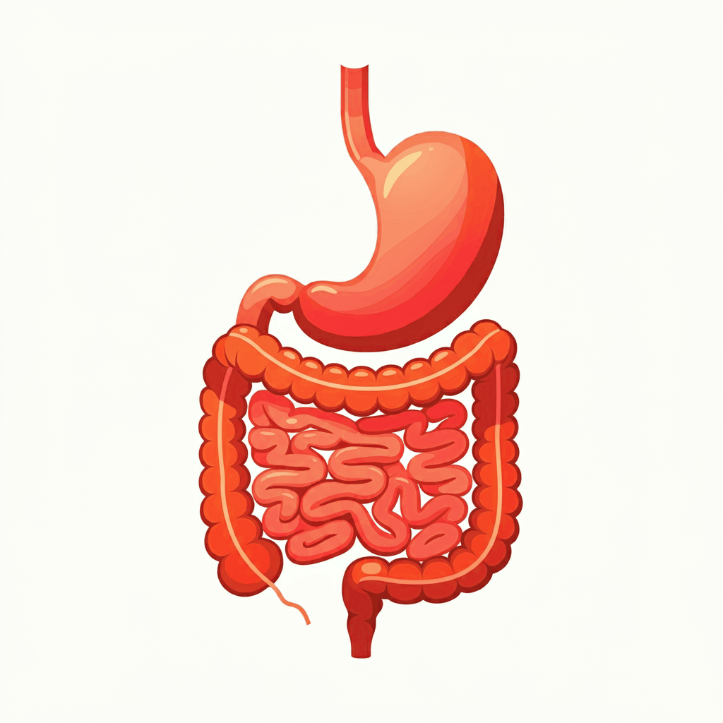 생리전 증후군 생리전 증후군 증상 PMS 관리법 생리전 증후군 원인 PMS 해결 방법 PMS 졸음 PMS 변비 설사 PMS 잇몸 통증 PMS 불면증 생리전 증후군 복통 PMS 두통 PMS 소화불량 생리전 증후군 기간 여성 호르몬 변화 생리전 우울증