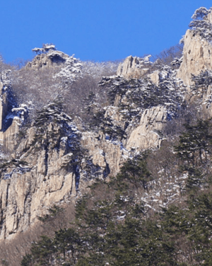 대둔산 케이블카 요금