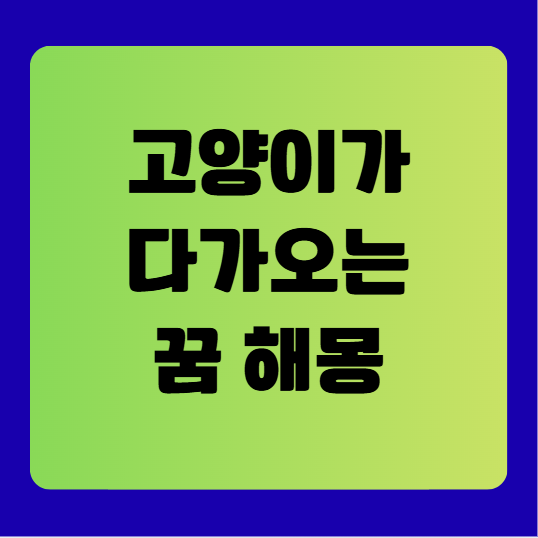 고양이가 다가오는 꿈 해몽 풀이(무료꿈해몽풀이)