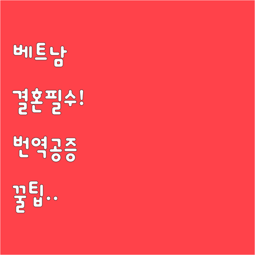 베트남 국제결혼 서류 번역 공증 방법..