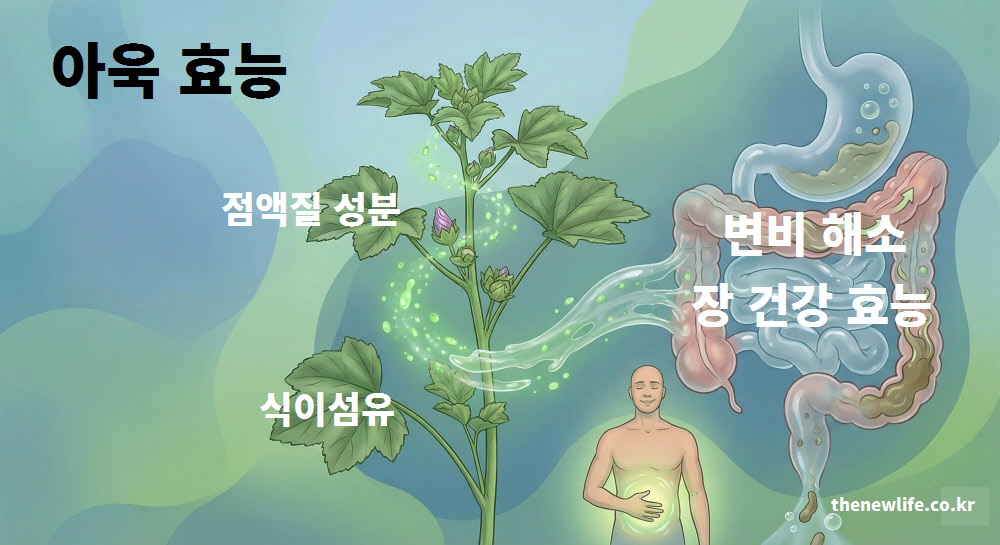 아욱의 점액질 성분과 식이섬유가 장의 연동 운동을 돕고 숙변을 제거하여 변비를 해소하는 과정을 시각적으로 설명한 인포그래픽